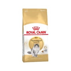 Royal Canin Norwegian Forest Cat Adult - Cat Food