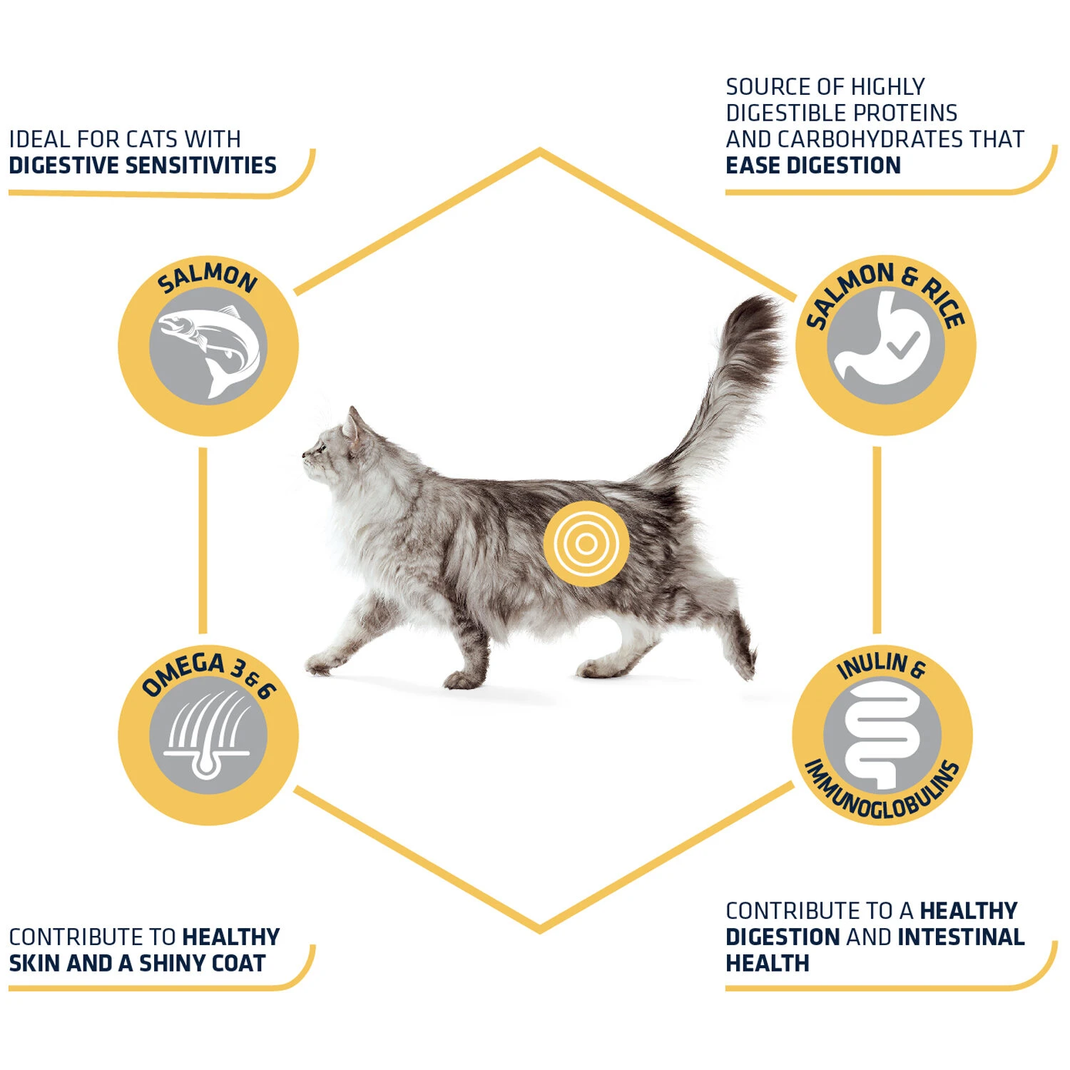 Affinity Advance Adult Salmon Sensitive - Cat - Image 4