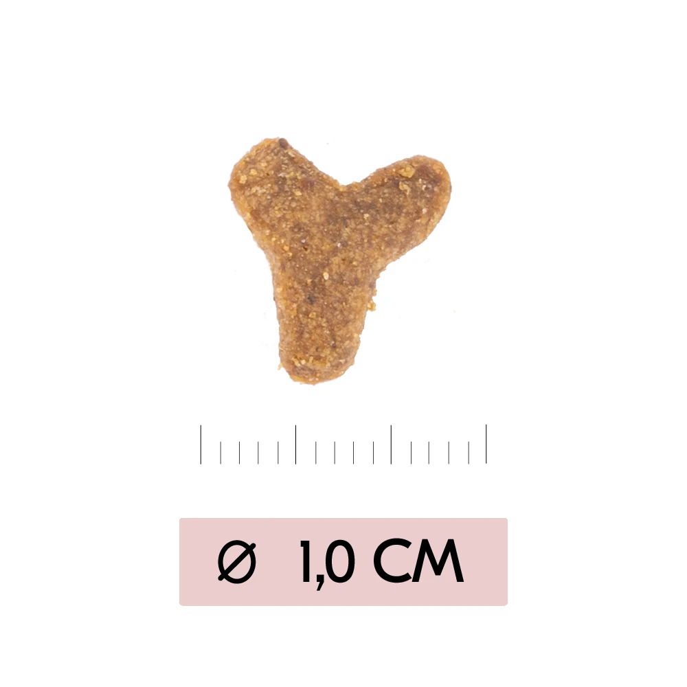 Vetality Skin Support - Cat Food - Image 3