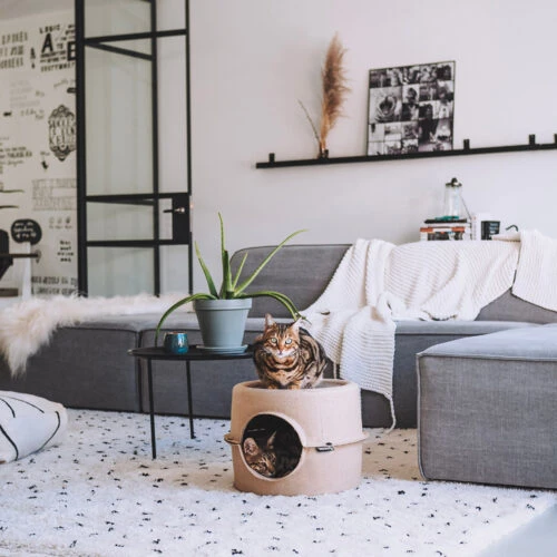 District 70 Bunker - Image 6