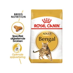 Royal Canin Adult Bengal - Cat Food